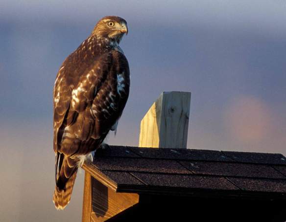 8330ED0F-88DD-40FC-A3E5-6B3F734790C3